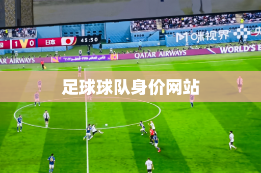 足球球队身价网站 足球球队身价网站