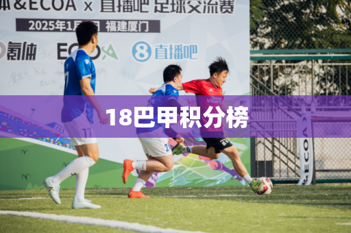 18巴甲积分榜