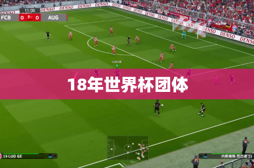 18年世界杯团体