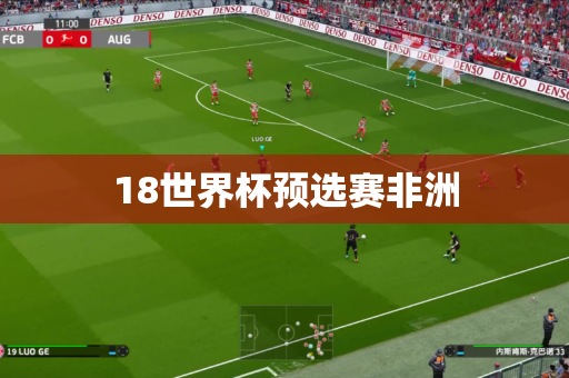 18世界杯预选赛非洲