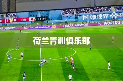 荷兰青训俱乐部 荷兰青训俱乐部
