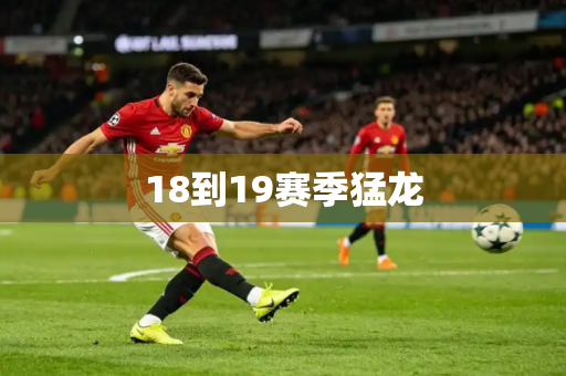 18到19赛季猛龙