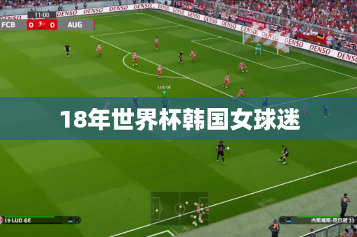 18年世界杯韩国女球迷