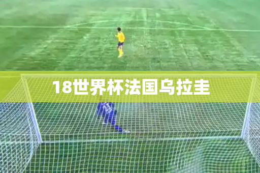 18世界杯法国乌拉圭