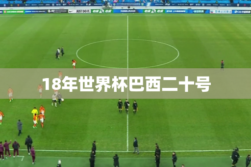 18年世界杯巴西二十号