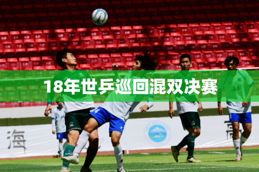 18年世乒巡回混双决赛