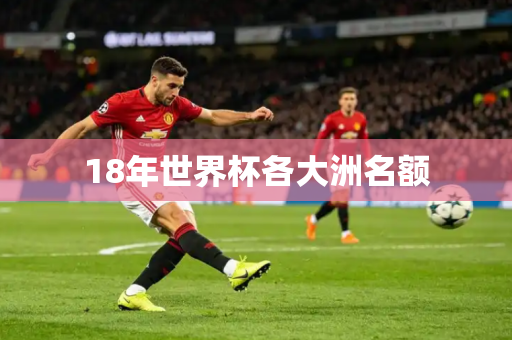 18年世界杯各大洲名额