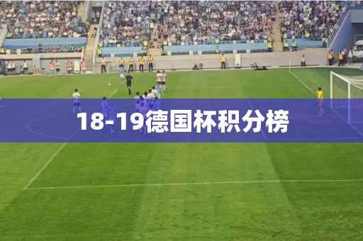 18-19德国杯积分榜