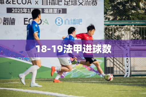 18-19法甲进球数
