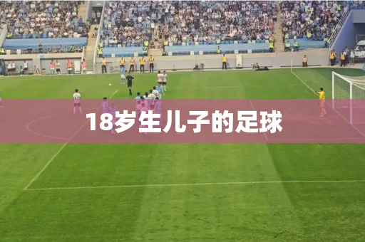 18岁生儿子的足球 18岁生儿子的足球