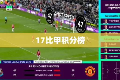 17比甲积分榜