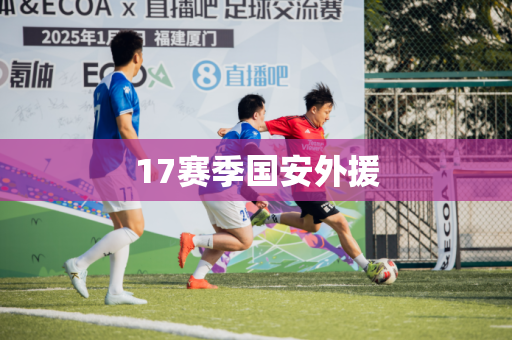 17赛季国安外援