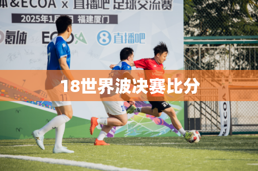 18世界波决赛比分
