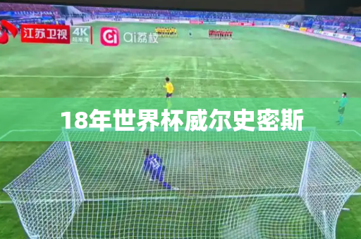 18年世界杯威尔史密斯