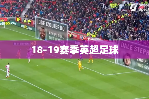18-19赛季英超足球 18-19赛季英超足球