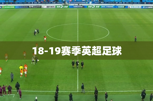 18-19赛季英超足球