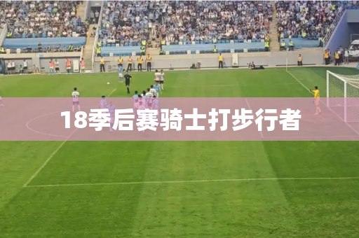 18季后赛骑士打步行者