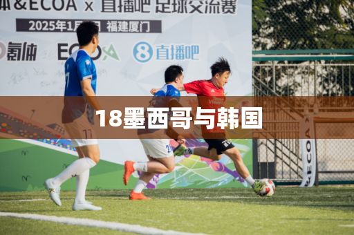 18墨西哥与韩国 18墨西哥与韩国