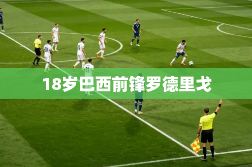 18岁巴西前锋罗德里戈 18岁巴西前锋罗德里戈