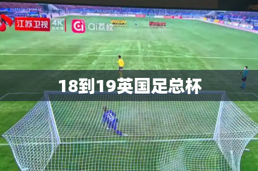 18到19英国足总杯 18到19英国足总杯