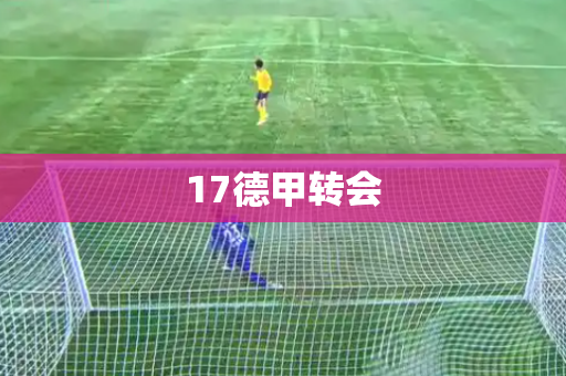 17德甲转会