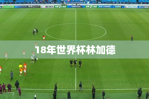 18年世界杯林加德 18年世界杯林加德