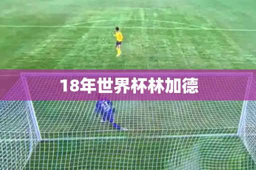 18年世界杯林加德