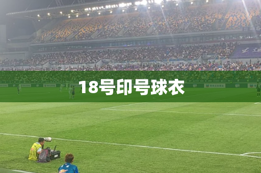 18号印号球衣 18号印号球衣