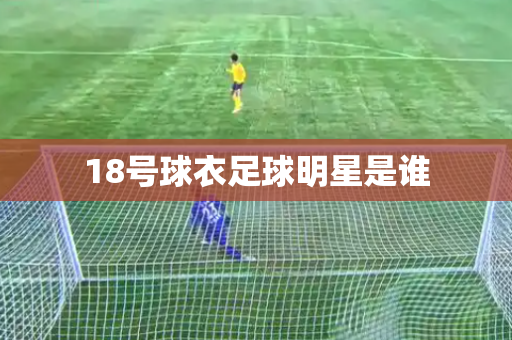 18号球衣足球明星是谁 18号球衣足球明星是谁