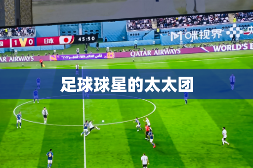 足球球星的太太团 足球球星的太太团
