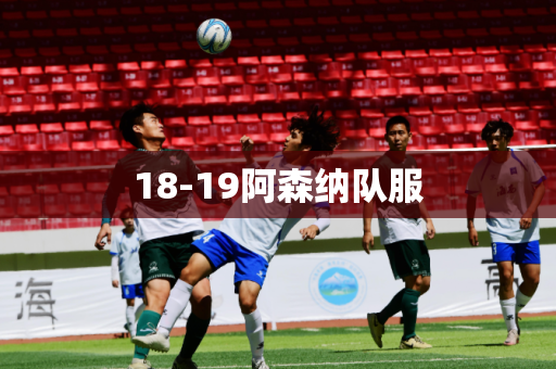 18-19阿森纳队服