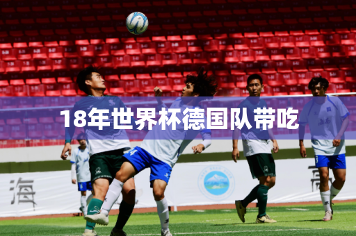 18年世界杯德国队带吃 18年世界杯德国队带吃