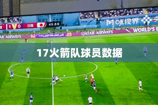 17火箭队球员数据