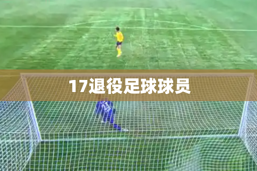 17退役足球球员 17退役足球球员