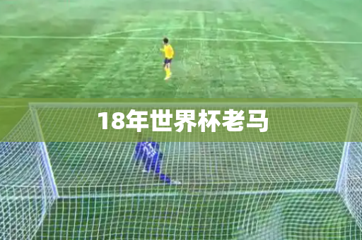 18年世界杯老马 18年世界杯老马
