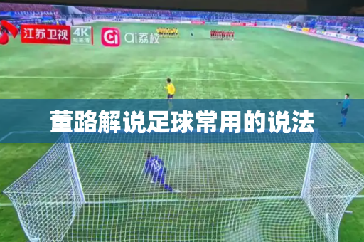 董路解说足球常用的说法