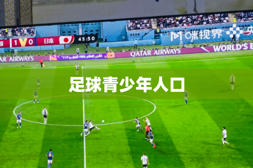 足球青少年人口 足球青少年人口