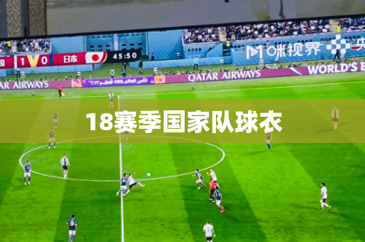 18赛季国家队球衣 18赛季国家队球衣
