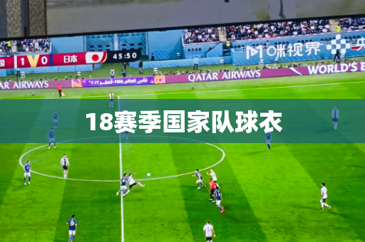 18赛季国家队球衣 18赛季国家队球衣