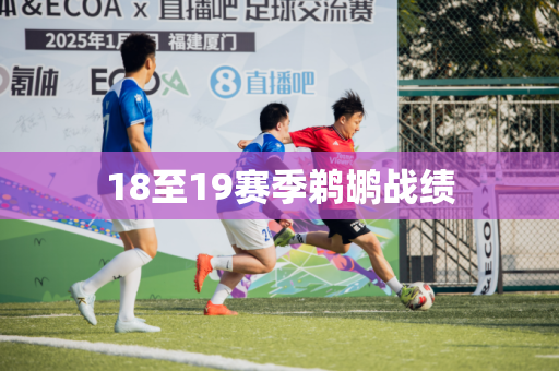 18至19赛季鹈鹕战绩 18至19赛季鹈鹕战绩