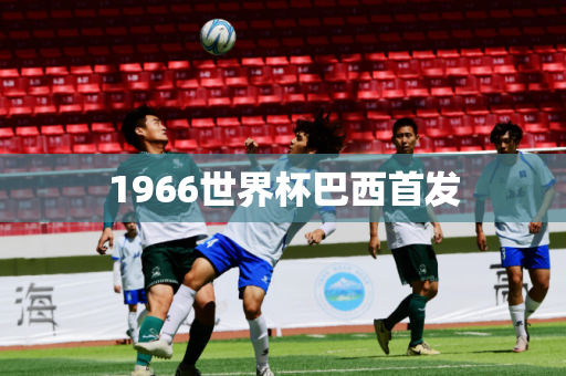1966世界杯巴西首发