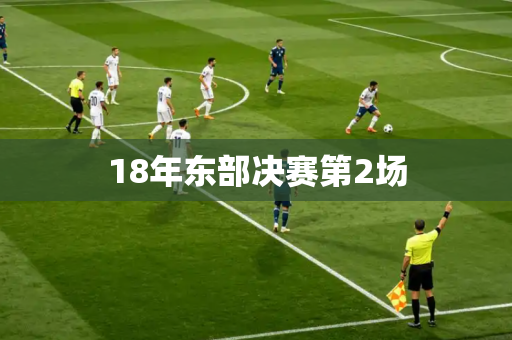 18年东部决赛第2场 18年东部决赛第2场