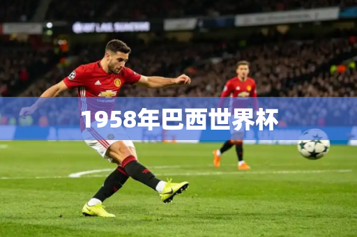 1958年巴西世界杯 1958年巴西世界杯