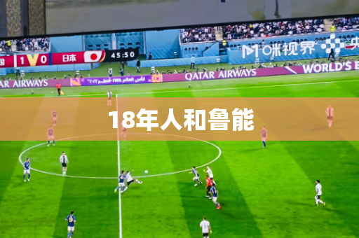 18年人和鲁能
