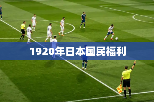 1920年日本国民福利 1920年日本国民福利