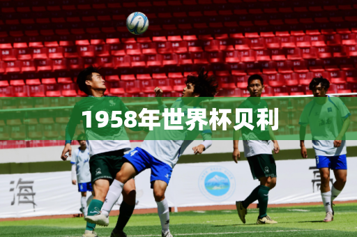 1958年世界杯贝利 1958年世界杯贝利