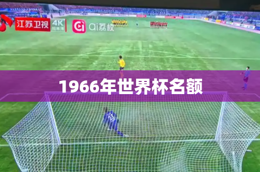 1966年世界杯名额