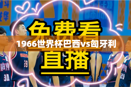1966世界杯巴西vs匈牙利 1966世界杯巴西vs匈牙利