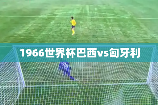 1966世界杯巴西vs匈牙利