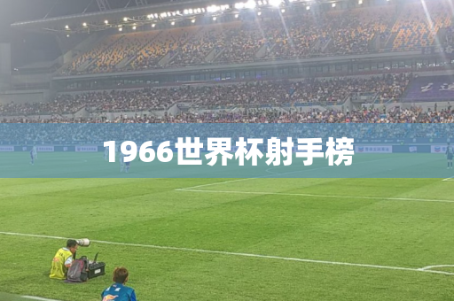 1966世界杯射手榜